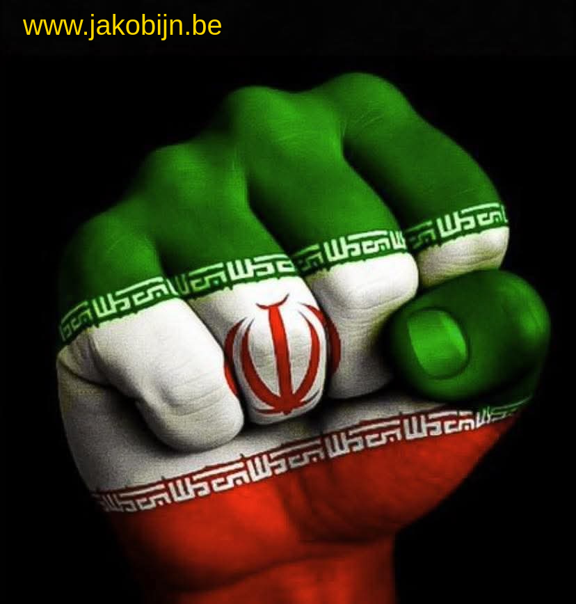 Iran fist